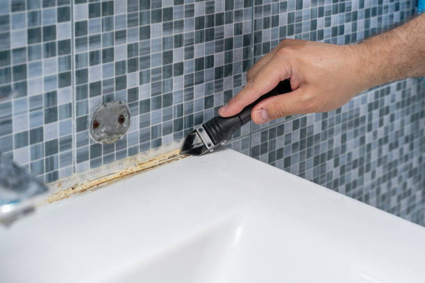 Best Black Mold Removal  in Somerset, KY